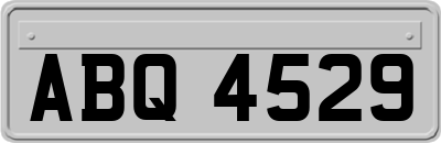 ABQ4529
