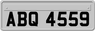 ABQ4559