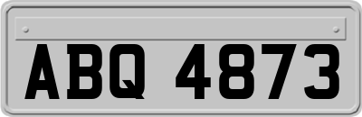 ABQ4873