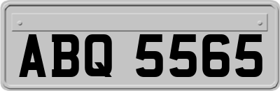 ABQ5565