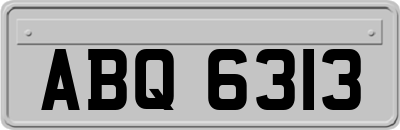 ABQ6313