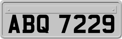 ABQ7229