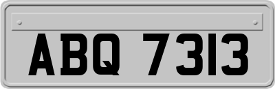 ABQ7313