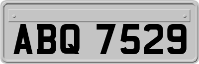 ABQ7529
