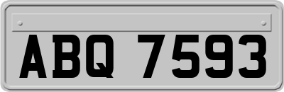 ABQ7593