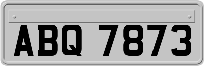 ABQ7873