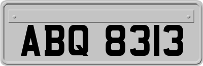 ABQ8313