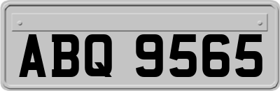 ABQ9565