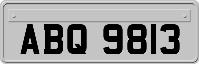 ABQ9813