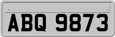 ABQ9873
