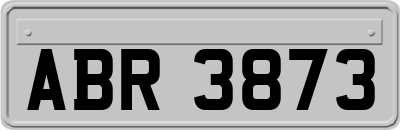 ABR3873