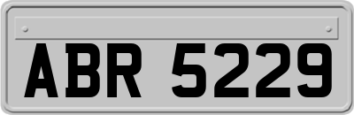 ABR5229