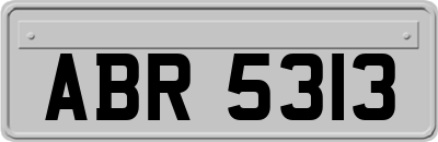ABR5313