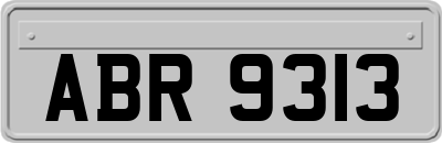 ABR9313