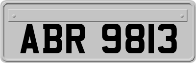 ABR9813