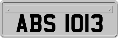 ABS1013
