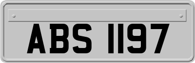ABS1197