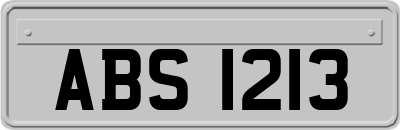 ABS1213