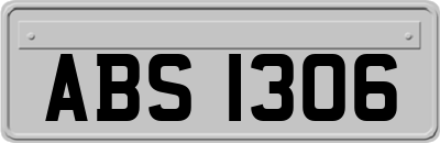 ABS1306