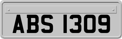 ABS1309