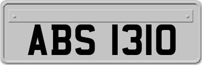 ABS1310