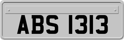 ABS1313