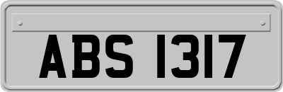 ABS1317