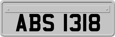 ABS1318