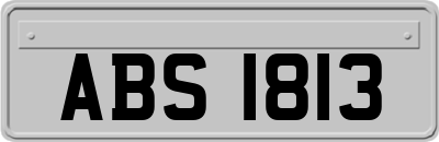 ABS1813