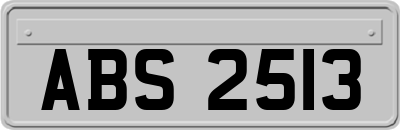 ABS2513