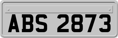 ABS2873