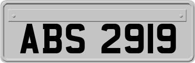 ABS2919