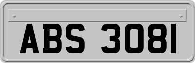 ABS3081
