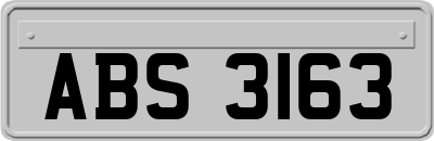 ABS3163