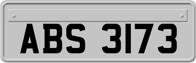 ABS3173