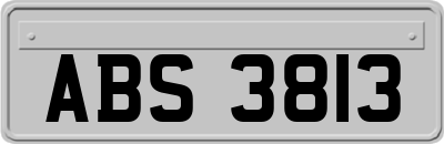 ABS3813