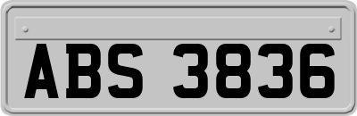 ABS3836