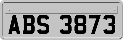 ABS3873