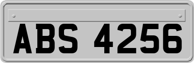 ABS4256