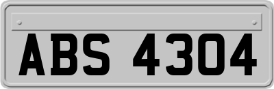 ABS4304