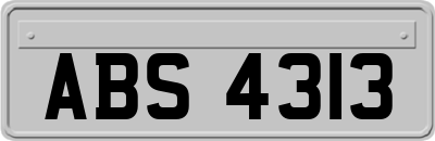 ABS4313