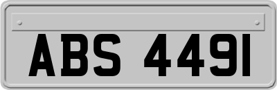 ABS4491