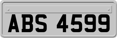 ABS4599