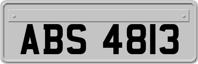 ABS4813
