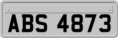 ABS4873