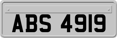 ABS4919