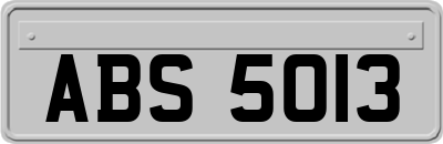 ABS5013