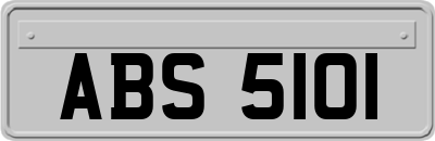 ABS5101