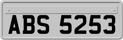 ABS5253