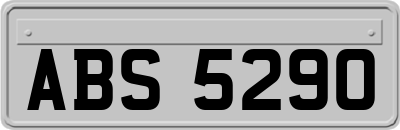 ABS5290